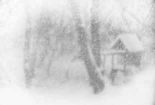 Blizzard