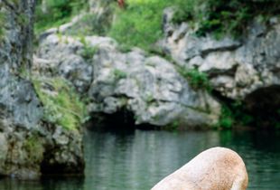 (Not) Afraid Of The Water
