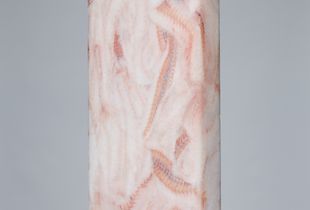 Lapis sarcophagus - Theragra chalcogramma n°5