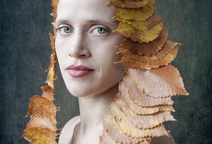 Crown of Leaves