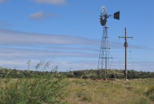 Green Kalahari