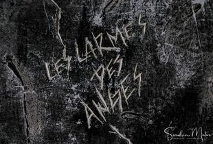 Watch the silence23
