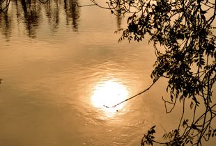 Le solei dans le fleuve