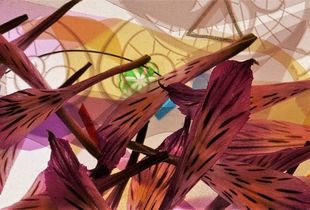 Dancing Inca Lilies #1