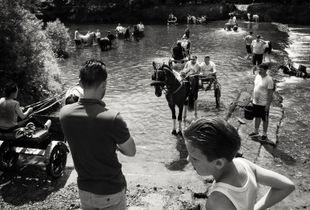 'The Ford'