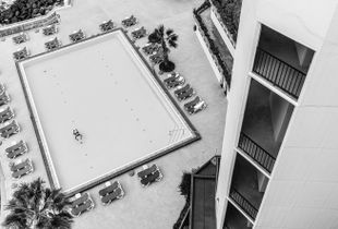 Frog bird's eye view