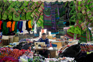 Hmong Seamstress
