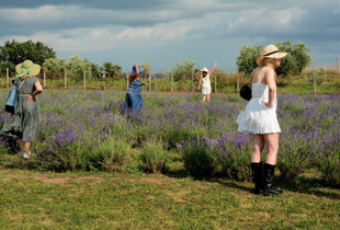 In the lavender field