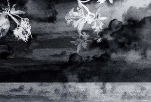 Multiverse_3