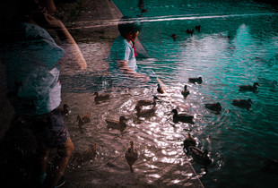 Lost in children's fantasy