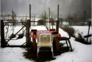 Winter Breakfast at the Community Gardens
