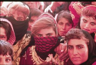 Syria nomads