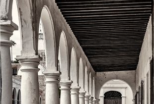 alamos, sonora, mexico.. heading to market..
