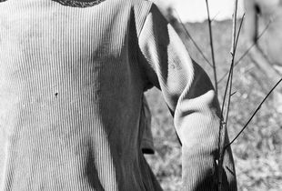 Portrait of a girl with twigs