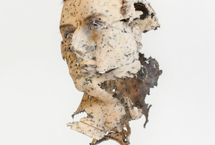 Mannequin Head
