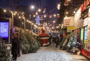 The Decemberist