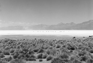 Desert
