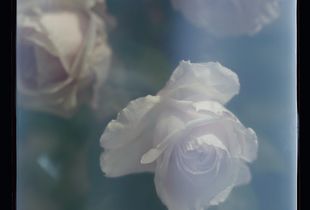 you breathe from a garden in your neck