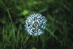 Nature shot