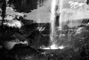 Wilderness_1