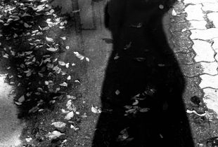 Shadow in a puddle