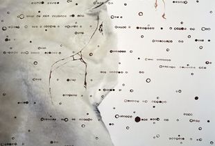 From the Series, Archetypal.  "The Great White Stag Lives ( Pelt )."