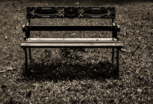 Empty Bench in Public Park