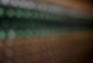Murmur (6)