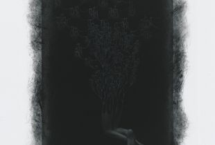 skin by figments