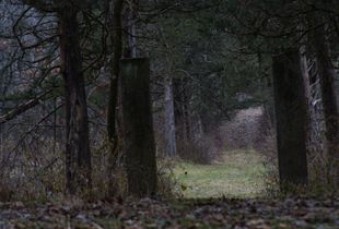 Lonely Path