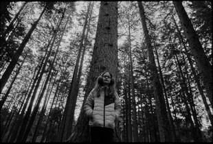 In the woods