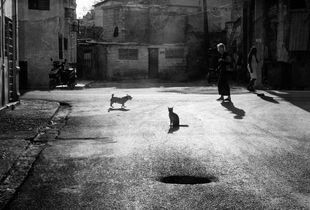 Formation