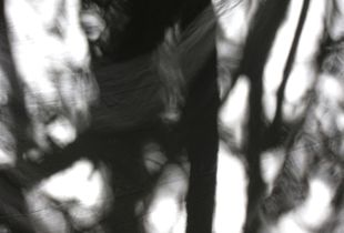 Draps entre les arbres / Sheets suspended between trees