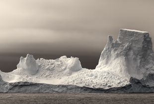 Antarctic Armada