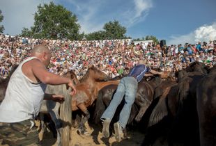 A man is jumping on a horse, Rapa das Bestas, Sabucedo, July 2018
