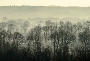 early morning