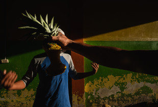 Facing the Pineapple
