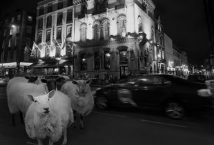 Dublin Crossing