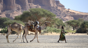 Walking in the middle of nowhere.  Tchad