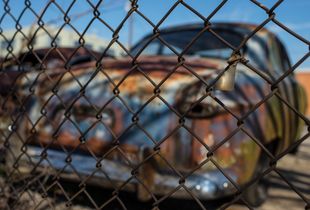 Beautiful decay.