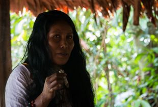 Rainforest Shaman