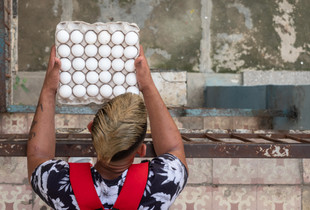 The Egg Man