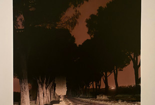 SULLA VIA APPIA