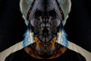 EVOLUTION: Phase one of three.