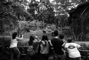 Habitat I