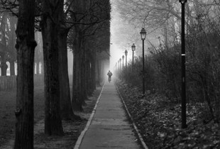 Foggy day