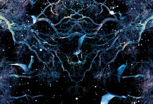 Yggdrasil the Cosmic Tree