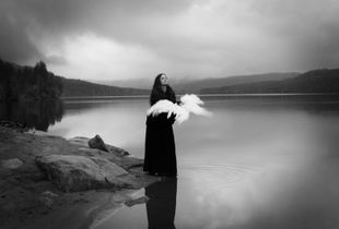 The Bird Tamer