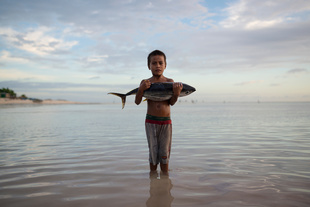 Impact of overfishing #01