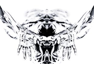 Watcher 4